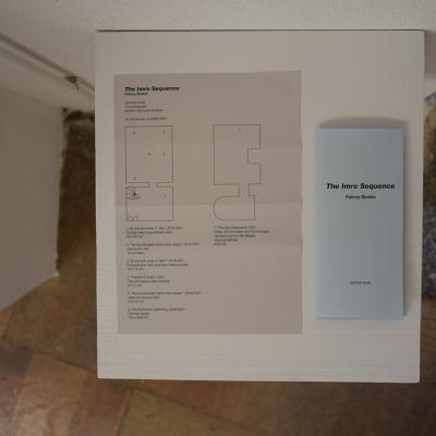 Installation views: The Imro Sequence, 2021